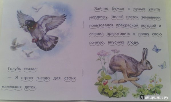 Осенние сказки для детей