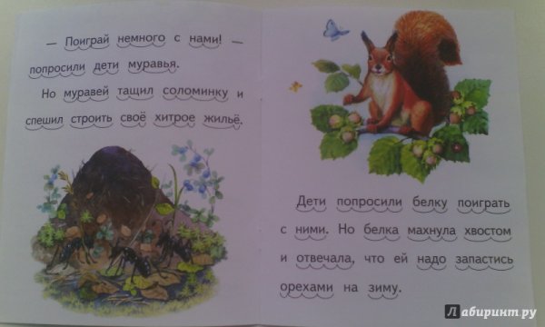 Николай Сладков иллюстрации