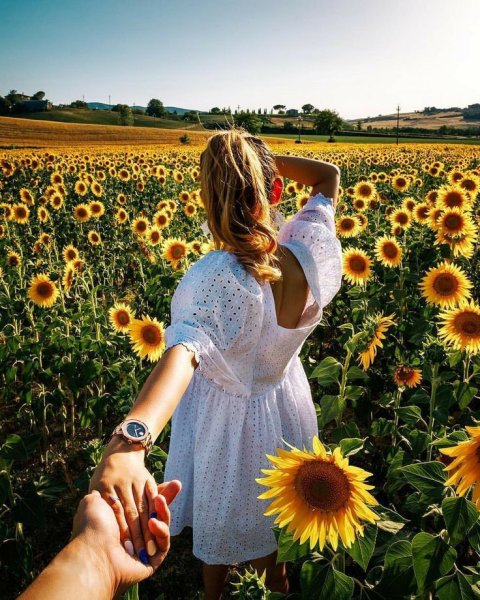 Позитивные обои на рабочий стол