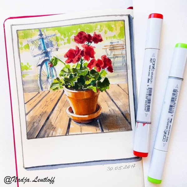 Цветы маркерами для скетчинга