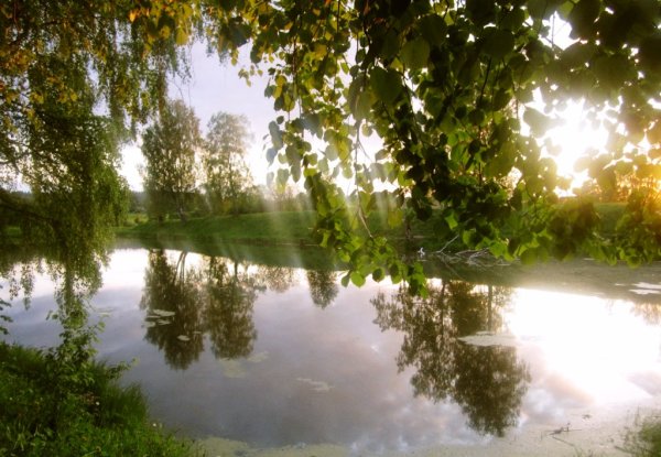 Яркое солнце природа