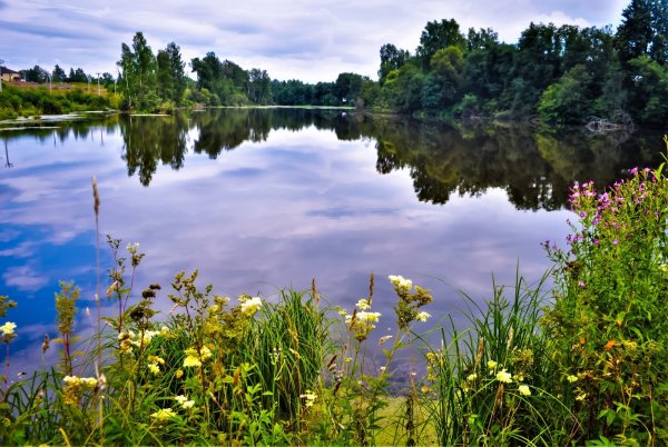 С первым днем лета