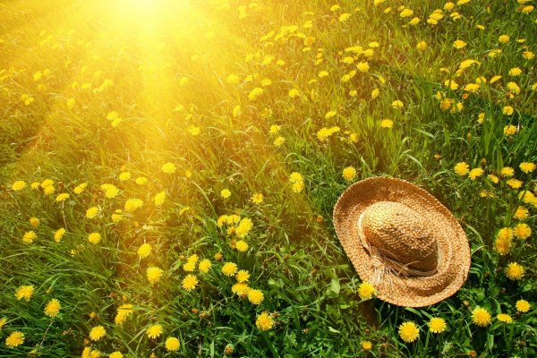 Панорамная природа