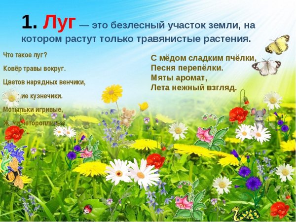 Луг и его обитатели