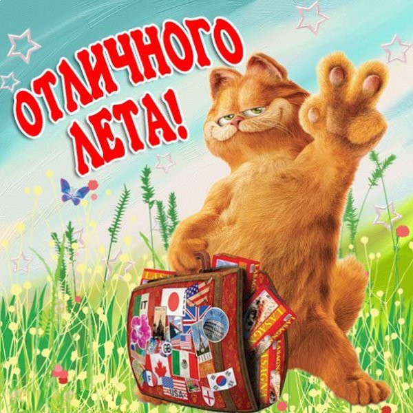 С летом поздравления