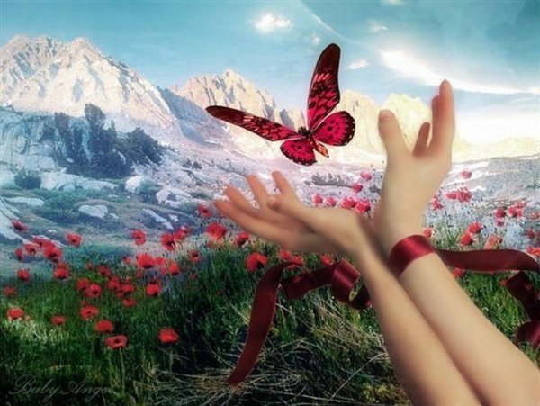 Солнечный день девушки