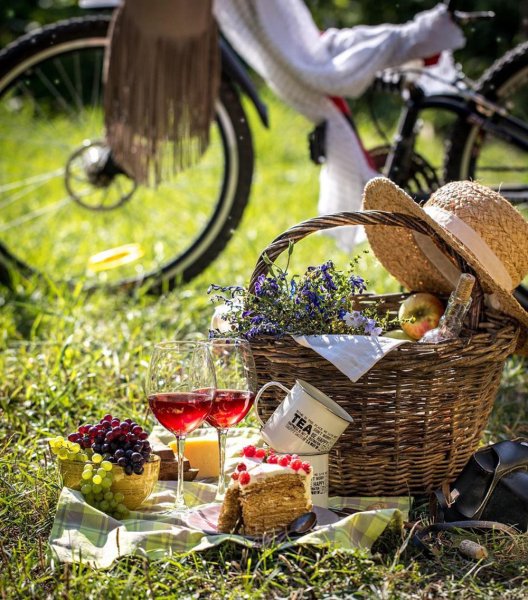 Пикник на природе велосипед