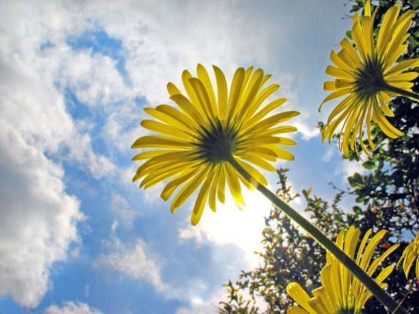 Солнечных выходных