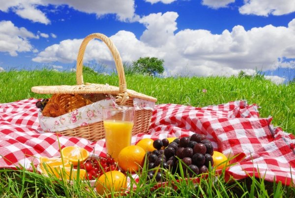 Пикник летом