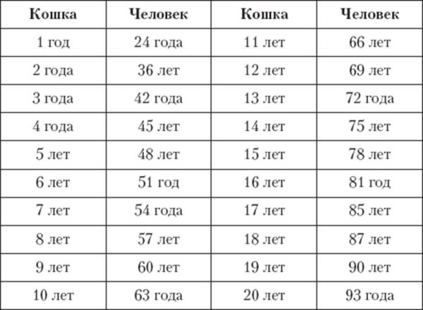 Кошке 6 лет сколько по человеческим меркам