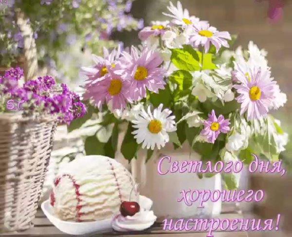 Чудесного летнего утра и прекрасного дня