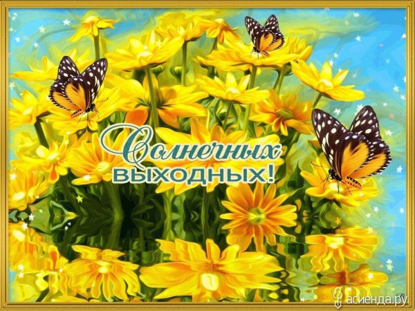 Солнечных выходных