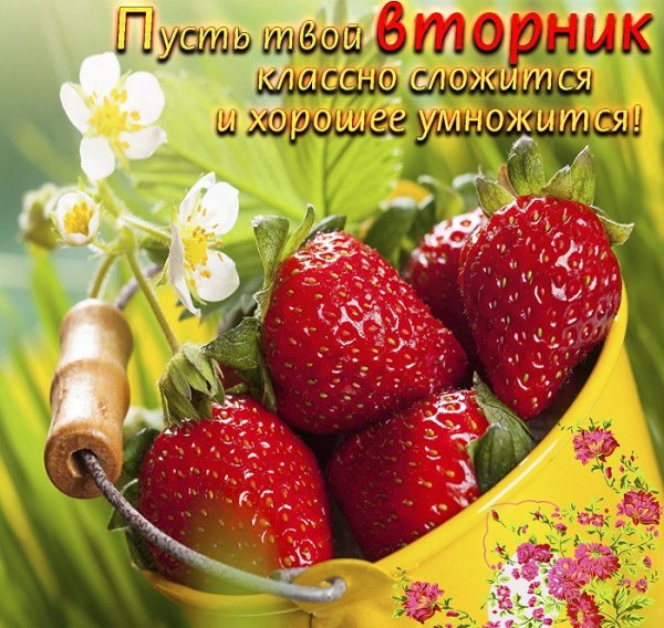Доброго летнего дня