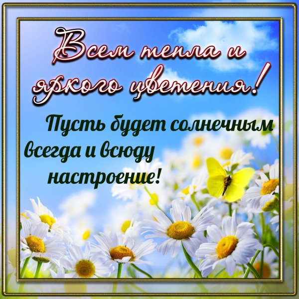 Открытки летнего настроения