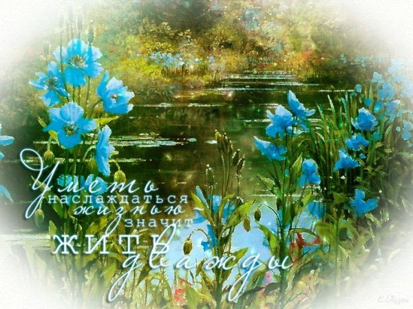 Добрые пожелания природа