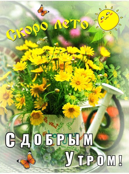 Хорошего летнего дня