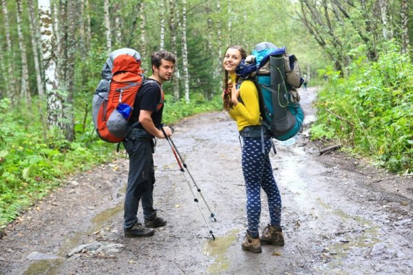 Пешие прогулки в лесу
