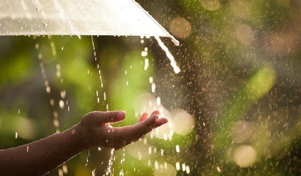 Дождливое лето