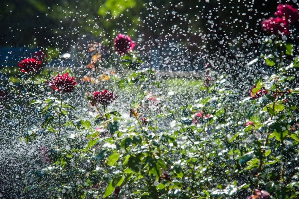 Дождь в городе