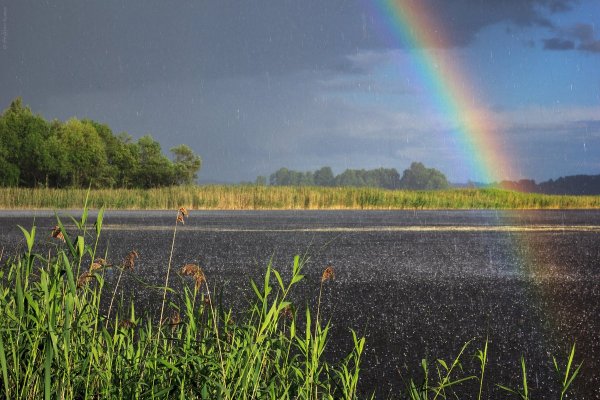 Дождливый день в Петрозаводске