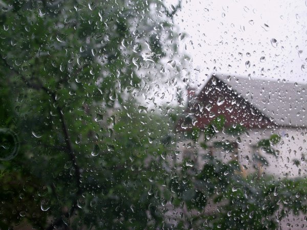 Картинки на рабочий стол дождь