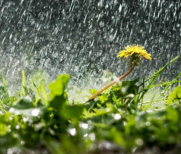 Девочка с зонтиком