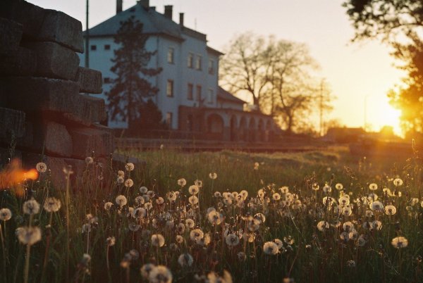 Красивые фразы про август