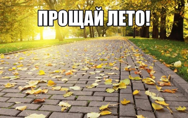 Лето, Прощай