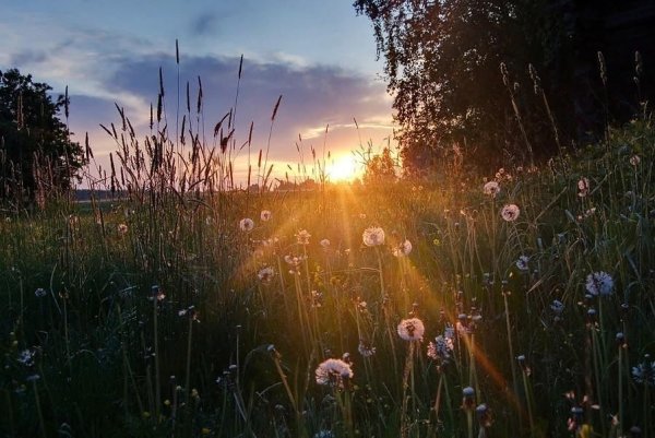 Грустное лето