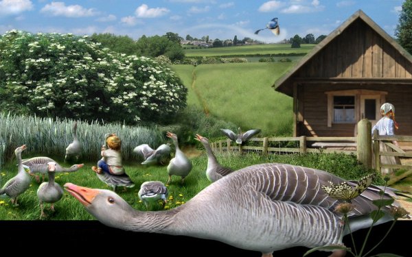 Деревенский дом гуси