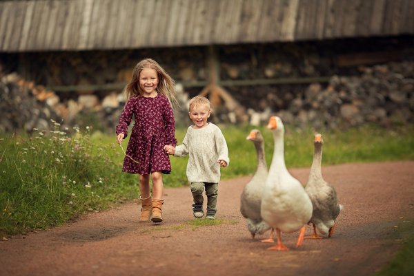 Девочка и Гусь