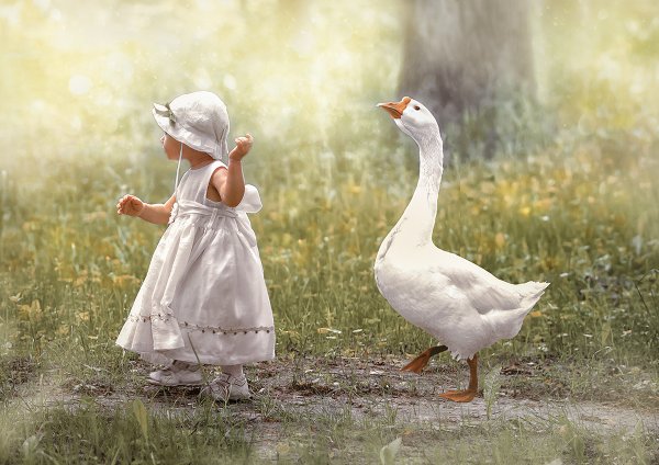 Девочка с гусем