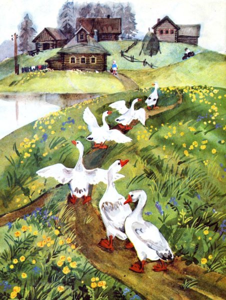 Тамара Шеварева иллюстрации