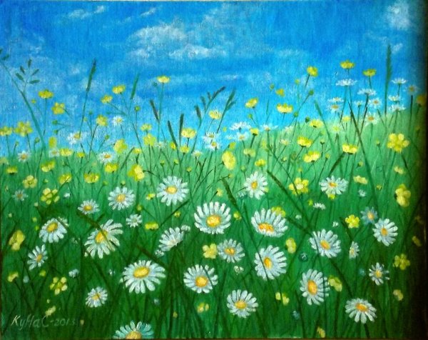 Поляна ромашек