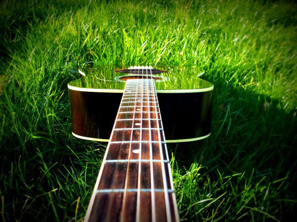 Гитара на природе