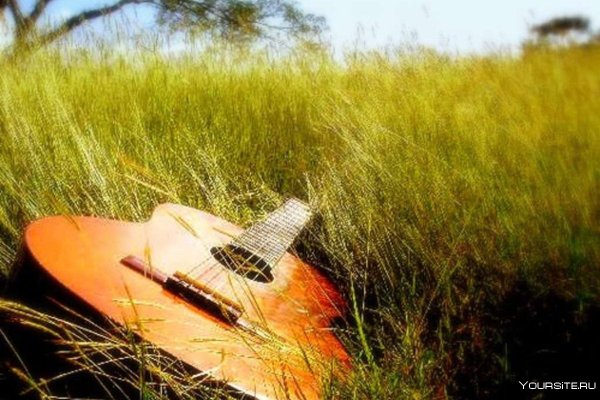Гитара в лесу