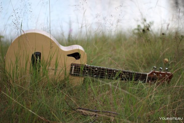 Акустическая гитара лес