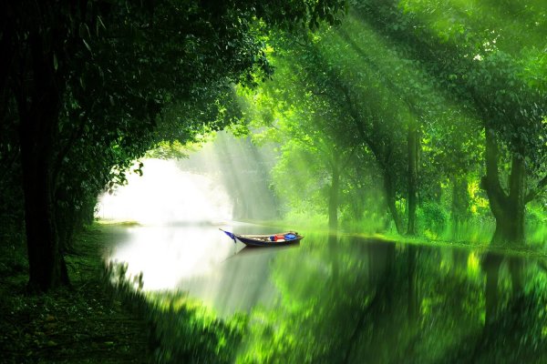 Свежесть природы