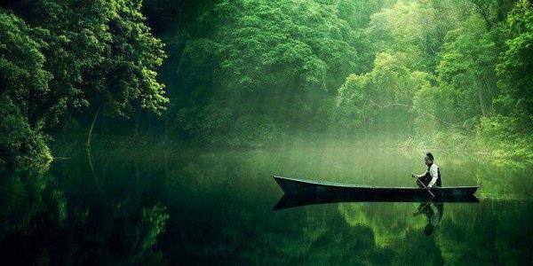 Зелень трава