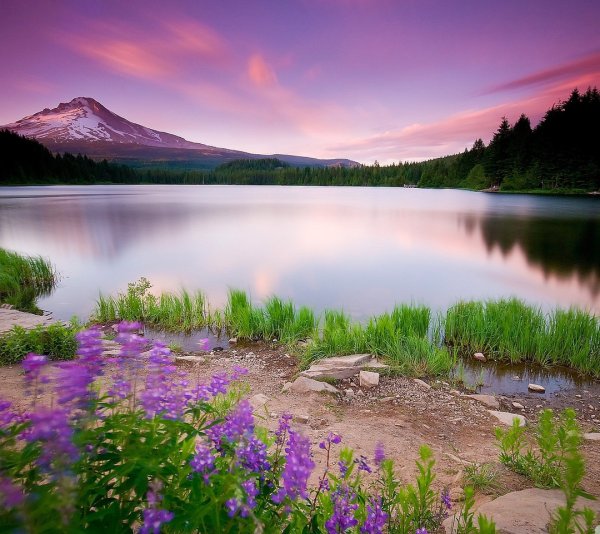 Пейзажи природы