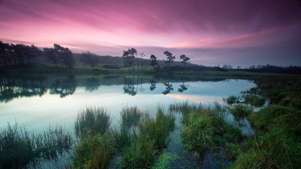 Фон умиротворение