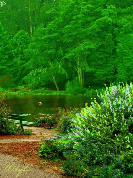 Девушка и океан