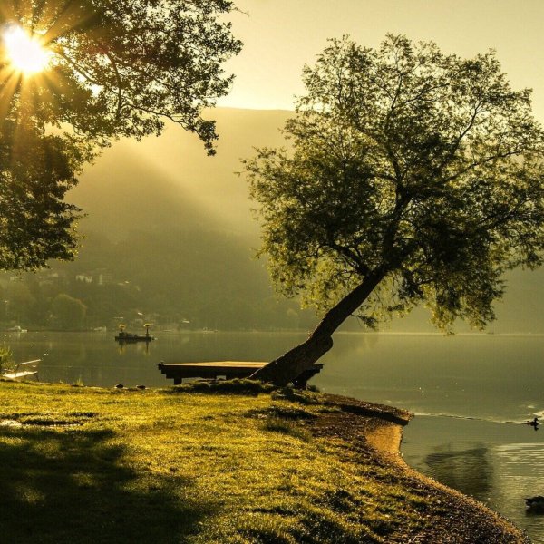 Море спокойствия