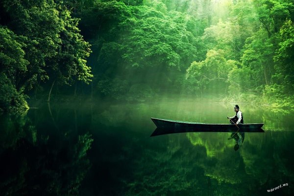 Пейзаж с бабочками