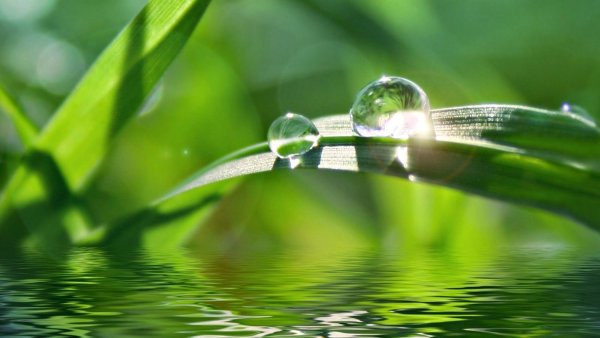 Озеро Шапор Швейцария