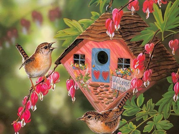 Доброе утро с птицами