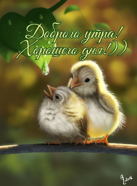 Чаепитие у птиц