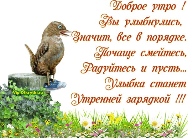 Мерцающие открытки с летом