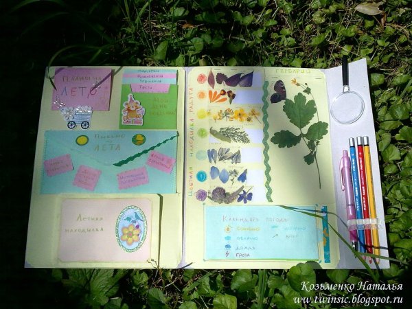 Лэпбук лето для малышей