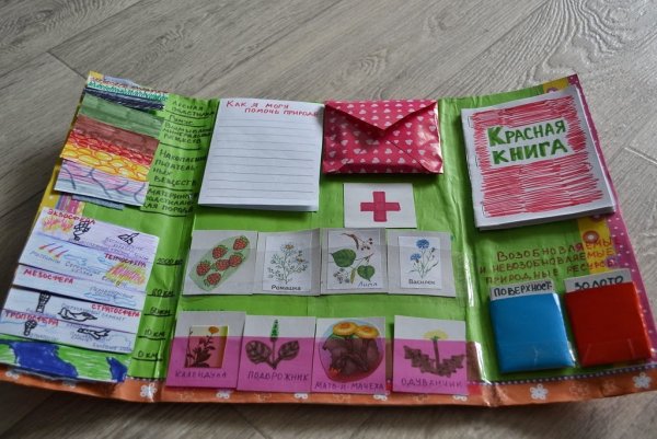 Папка лэпбук